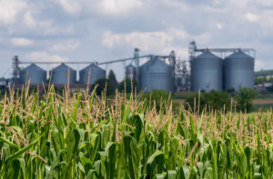 SSP fertilizer plant