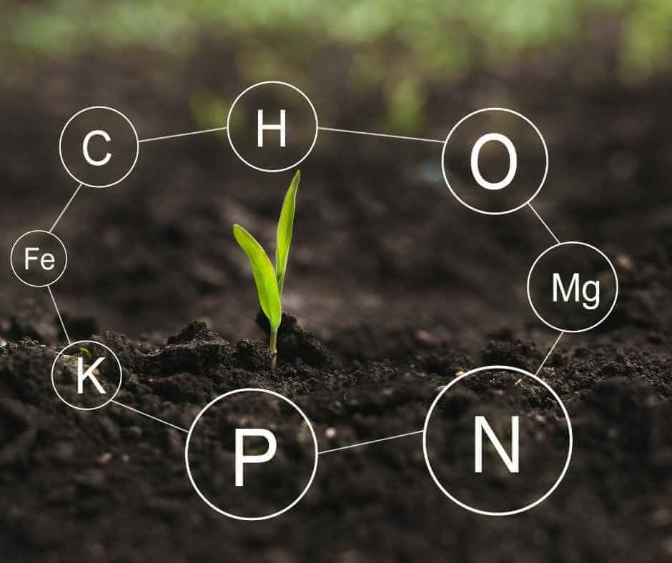 Global Potassium Sulfate Demand Growth: The Importance of Sulphate of Potash Production Line Equipment Selection