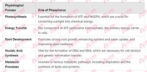 Effect of Phosphoric Acid