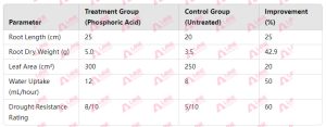 Effect of Phosphoric Acid