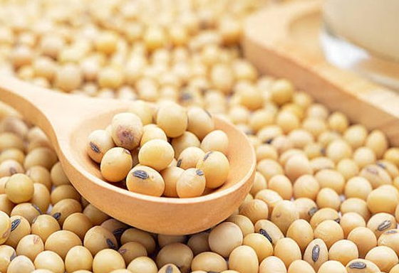 Reducing Costs, Increasing Yields: The Benefits of SSP Bulk Fertilizer Lines