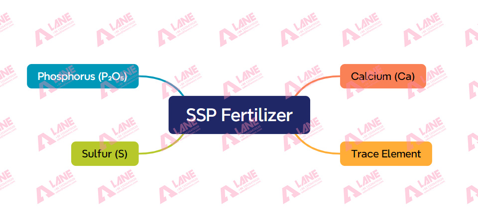 SSP compound fertilizer formulation