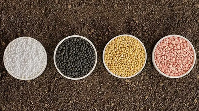 Use of Diammonium Phosphate Fertilizer for Different Crops