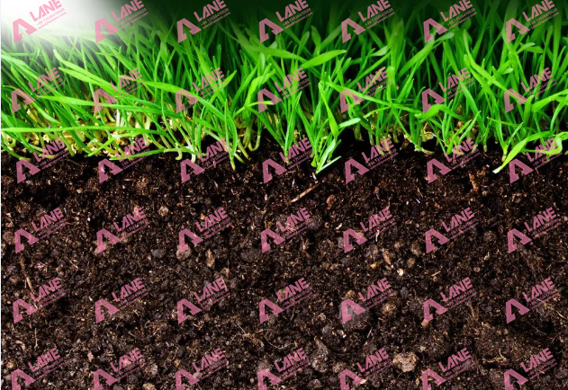 Mineral Fertilizer for Soil Improvement: Proven Methods That Boost Yield and Cut Input Costs
