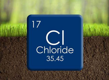 How to Control Chloride Levels During SOP Production