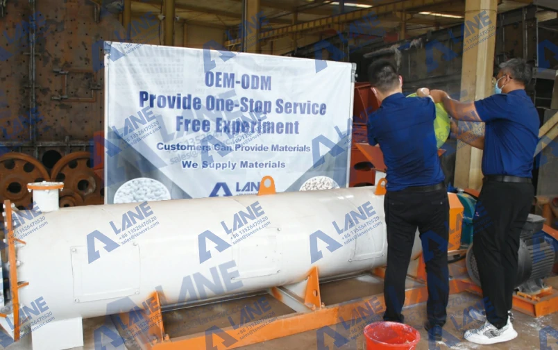  Henan Lane engineer inspecting a Stirring Pin Granulator installation at an international customer’s facility.